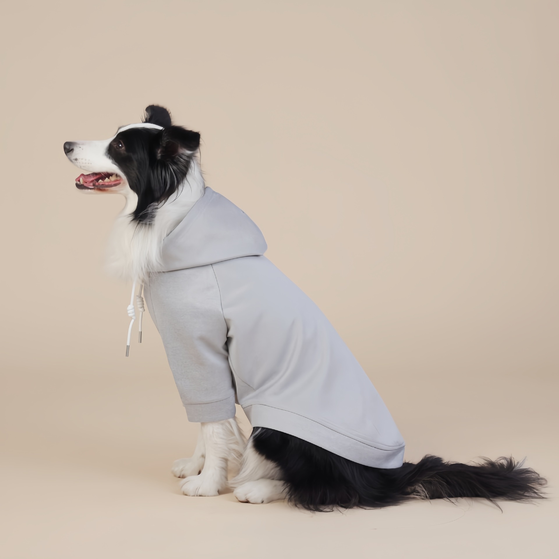 Grey Classic Dog Sweatshirt with Hood & Drawstrings - For Large Dogs (Size: XL) — image 2