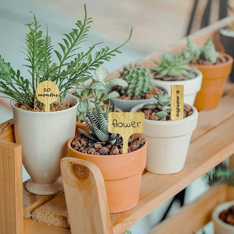 50pcs Plant Label Garden Label Stakes Sign Garden Stake Tags Garden Labels Gardening Label Plant Stake Labels Flower Tags — image 3