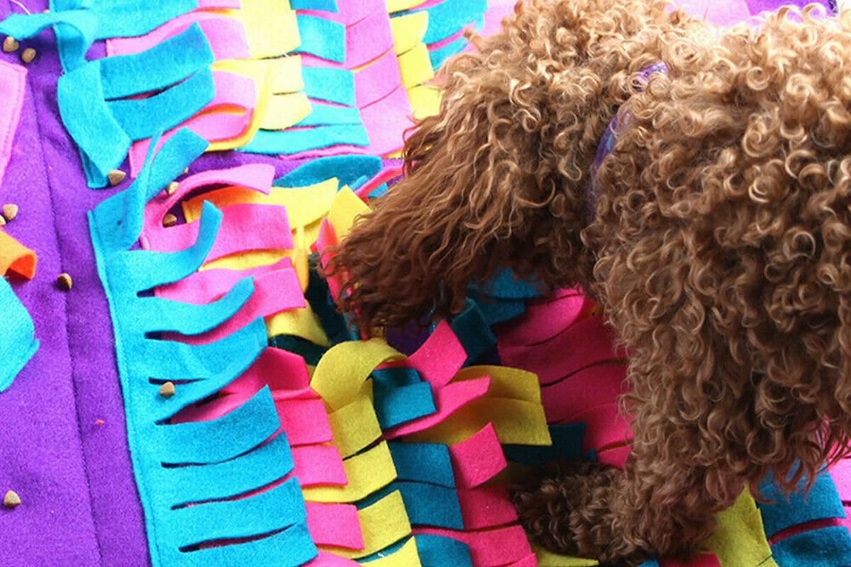 Dog Pet Nose Training Sniffing Pad Toys Blanket Game Feeding Cushion Snuffle Mat โ image 4