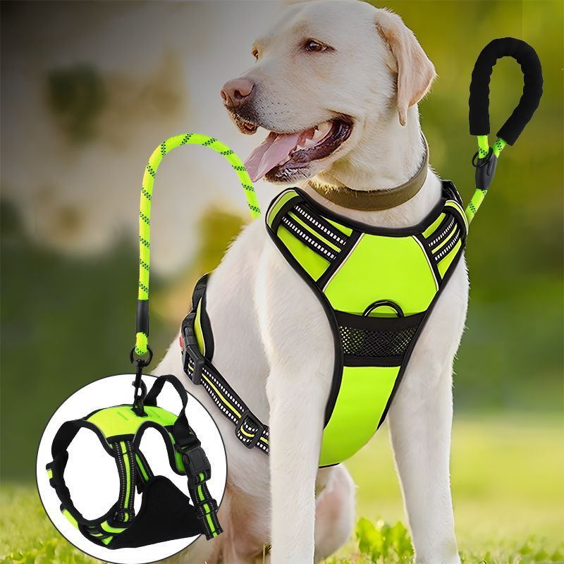 Reflective Dog Harness Leash Set Anti Pull Vest for Pets — image 2