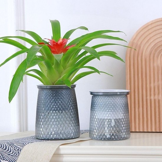 Flower pots - Plastic flower pots - sustainable garden supplies - hydroponic flower pots - visible water level - With absorbent cotton rope - Ø 10 x H 12 cm — image 3