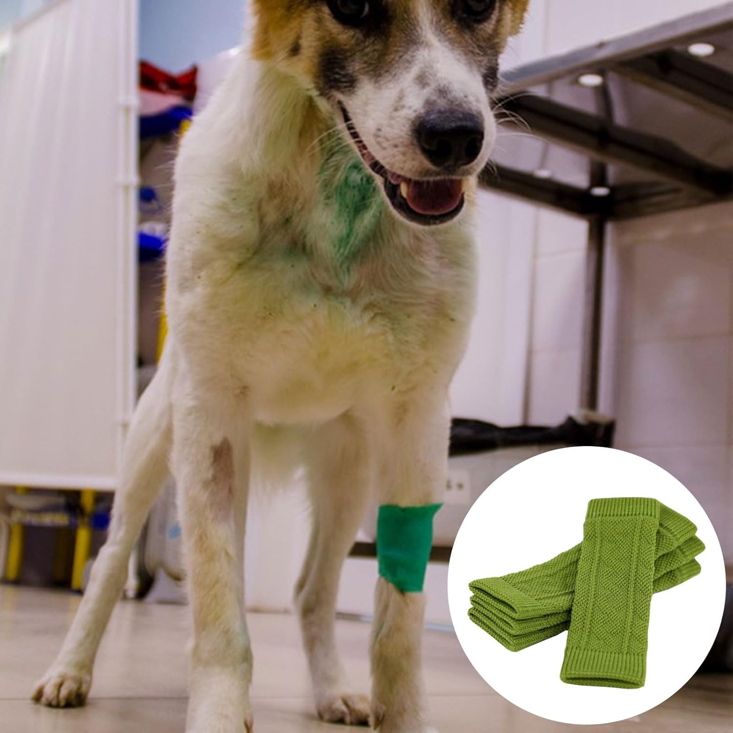 Dog Wound with Skin Friendly — image 3