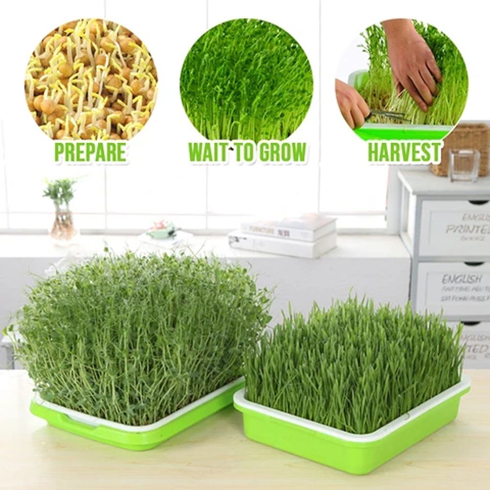 Double Layer Seedling Tray Hydroponic Nursery Tray Garden Seedling Pots — image 4