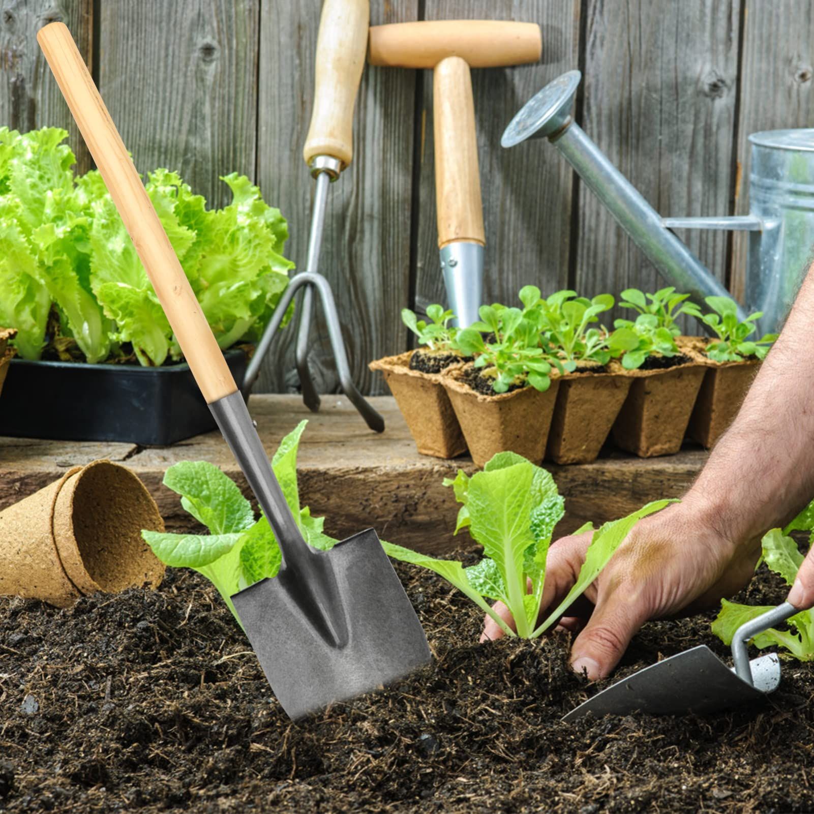 2Pcs Wooden Shovel Handle Hardwood Handles Landscaping Sickles Handle Replacement for Garden Sickle Shovels Ash Coal 30cm โ image 3