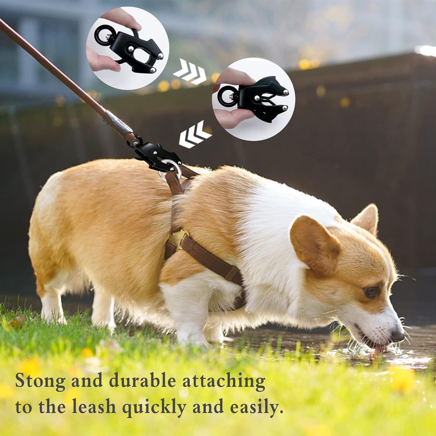 2 Pcs Frog Clip Dog Leash Clasp 360 Degree Swivel Clip Heavy Duty Quick Release and Locking Dog Leash Buckle for Linking Pet Collar (20mm) — image 4