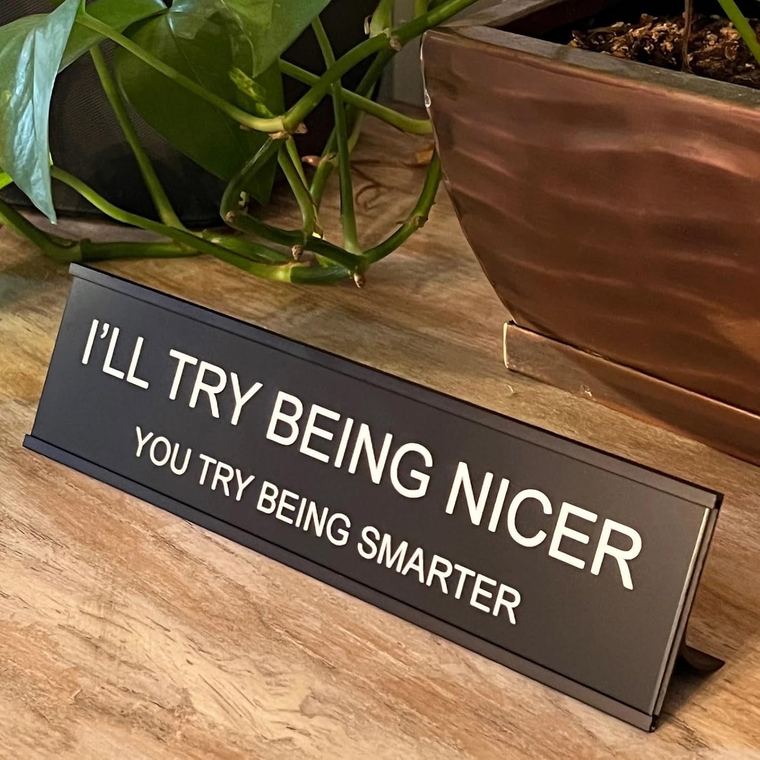 I'll Try Being Nicer Funny Office Desk Sign, Sarcastic Snarky Gift Prank Humor Naughty Sign for Coworker Colleague Intern Mentor Leader Manager Boss Staff — image 3