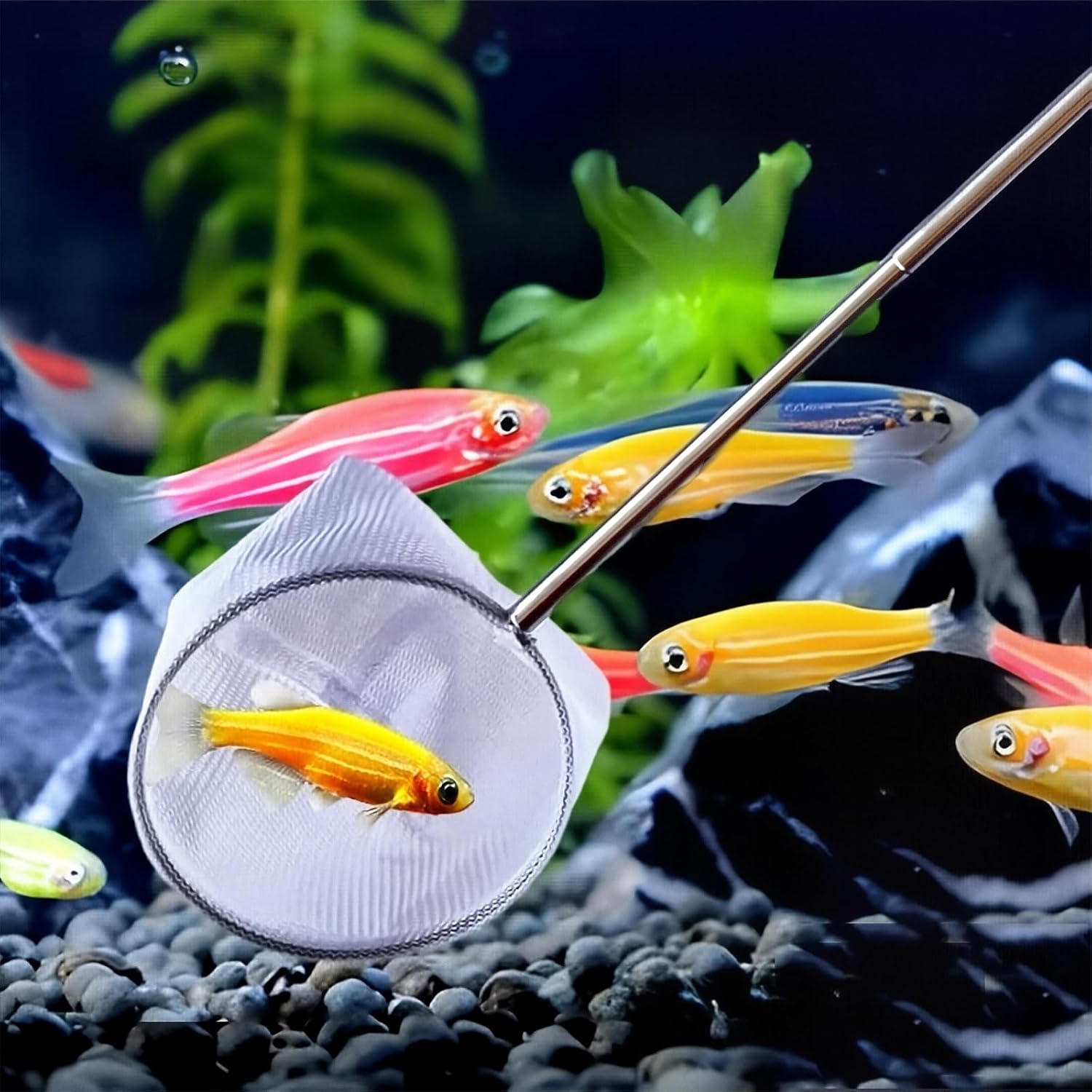 2-Pack Aquarium Fish Net - 3.3In & 2.6in Fishes Tank Shrimp Net Debris Cleaning Tools - Fast-Dry Mesh Scoop with Extendable Handle - Small Fish Net for Fish — image 4