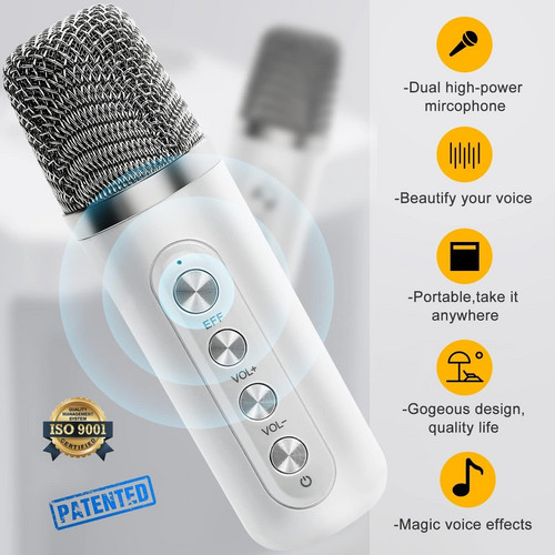 Sliver Karaoke Machine with 2 Wireless Microphones Bluetooth-Compatible 5.0 for Parties — image 2