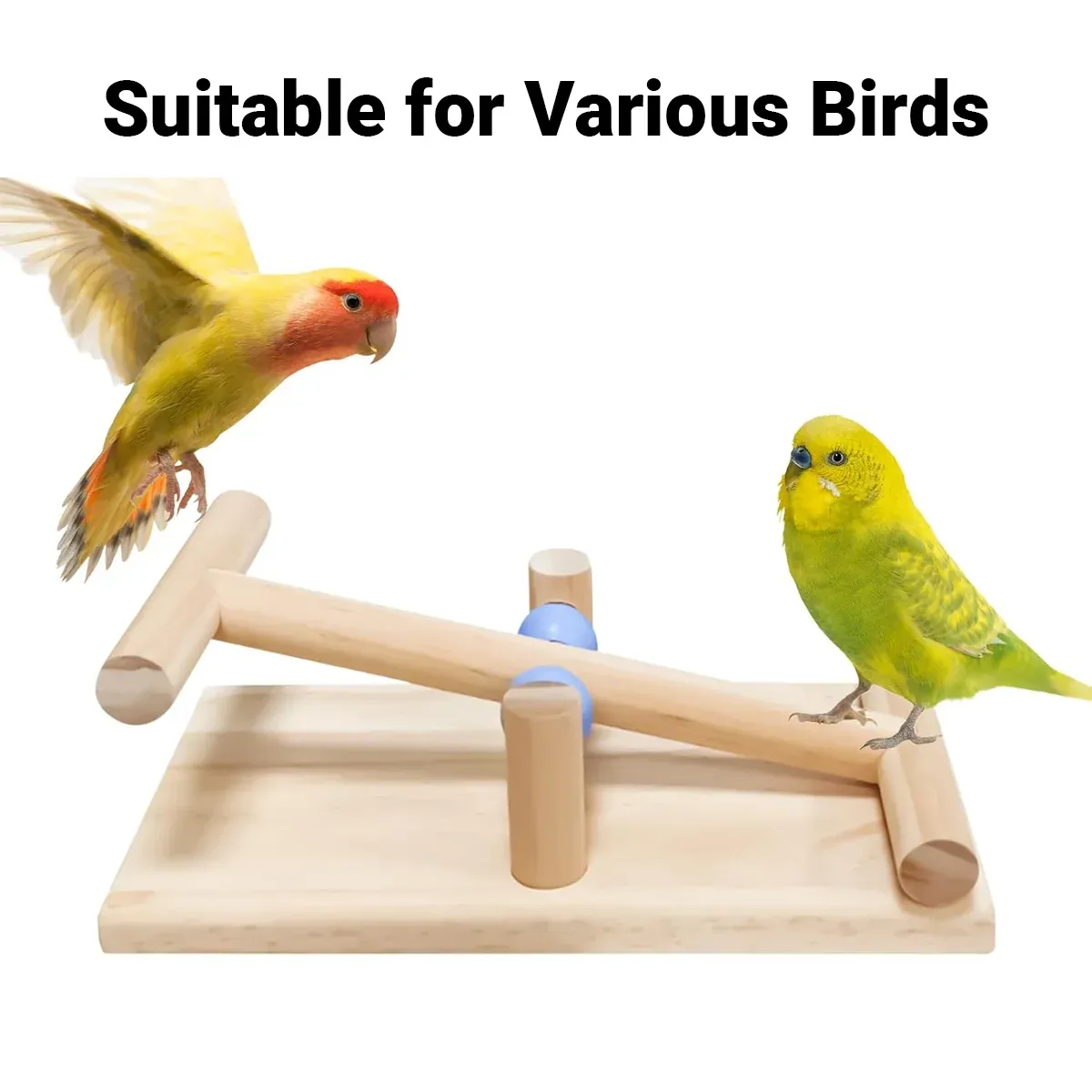 Interactive Bird Seesaw for Small Medium Birds Cage Toy Training Play Equipment — image 6