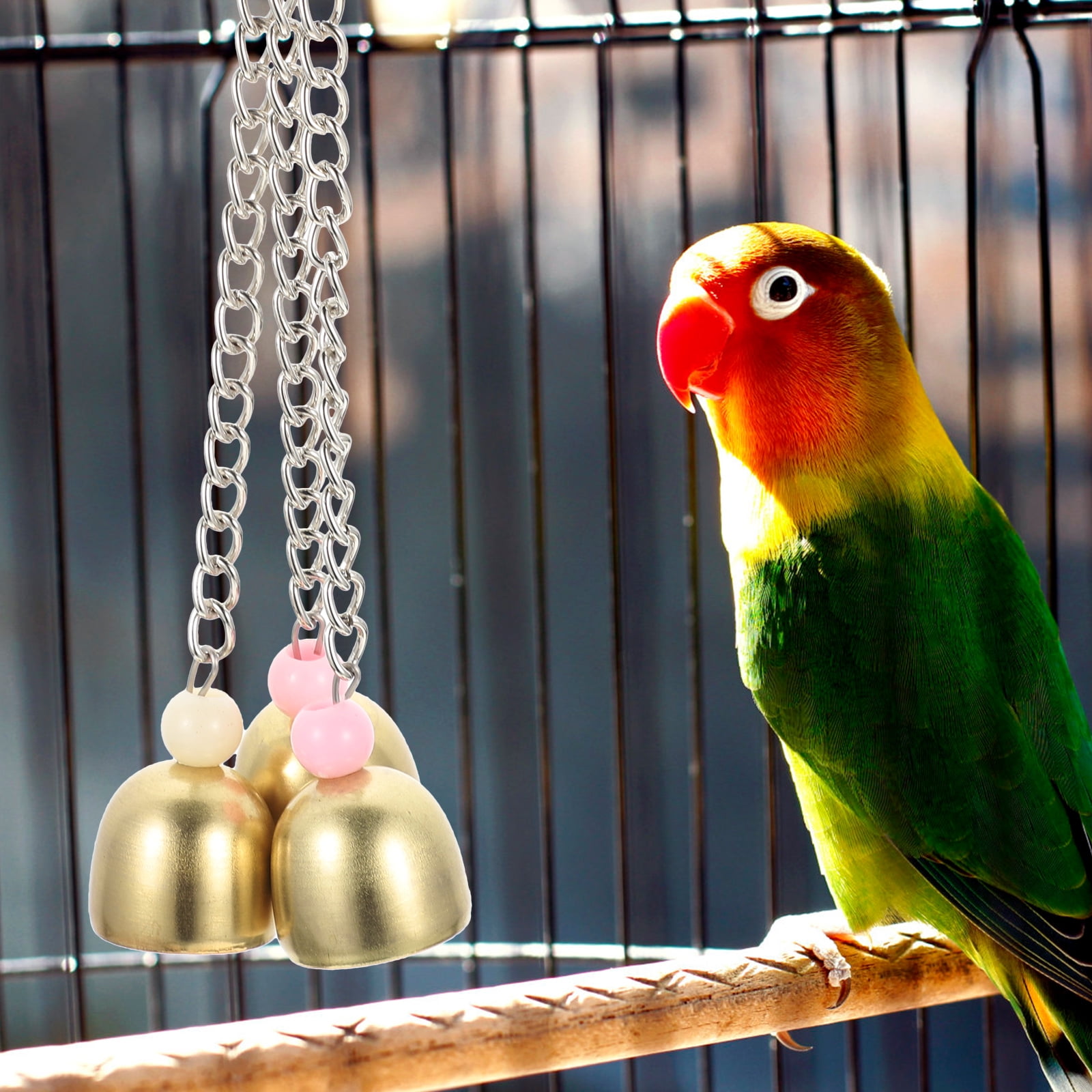 Rattle The Bell Parrot Toy for Large Birds - Stainless Steel Cage Decor for Parakeets, Cockatiels, and Small Tail Birds โ image 4