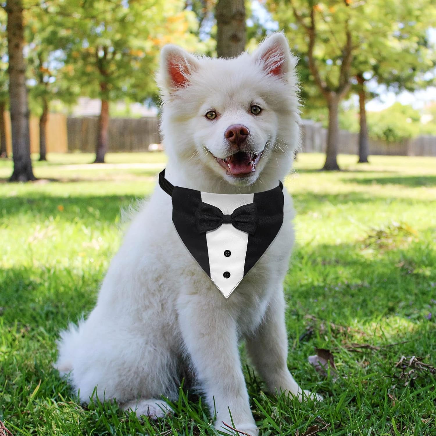 Formal Dog Smoking Set Collar Neckband Adjustable 12.5-21 Inch Black Formal Dog Dress for Wedding Engagement Birthday Fits Small Medium Large Dogs and Other — image 4