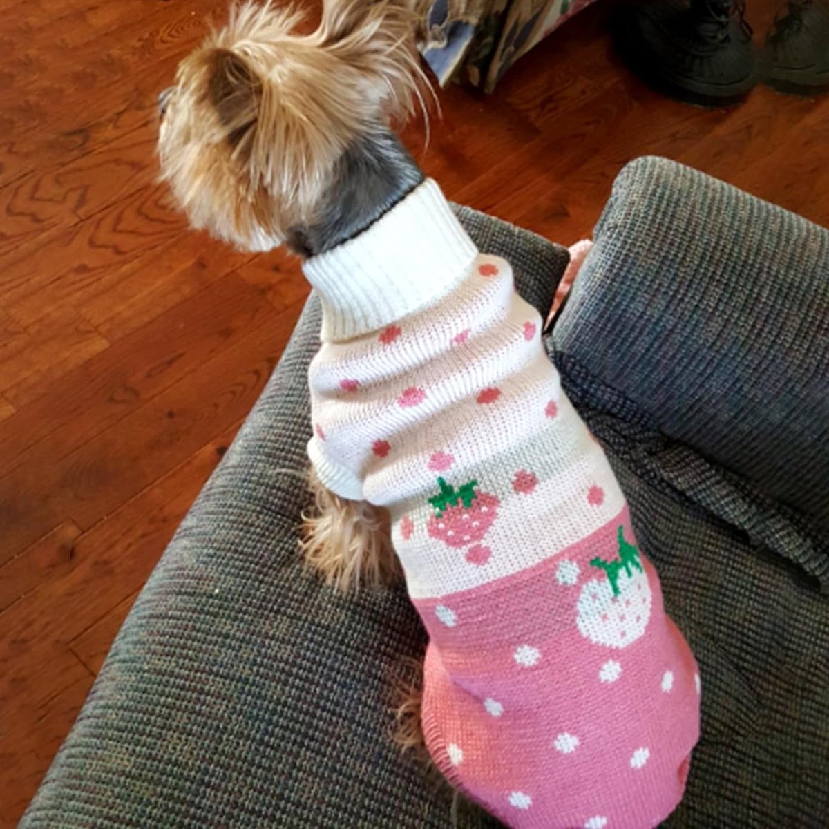 Dog Coat - Dog Sweater - Dog Pullover - Classic Turtleneck Knit Dog Sweater - Warm Winter Dog Clothes - Cute Strawberry Heart Pattern - Perfect for — image 4