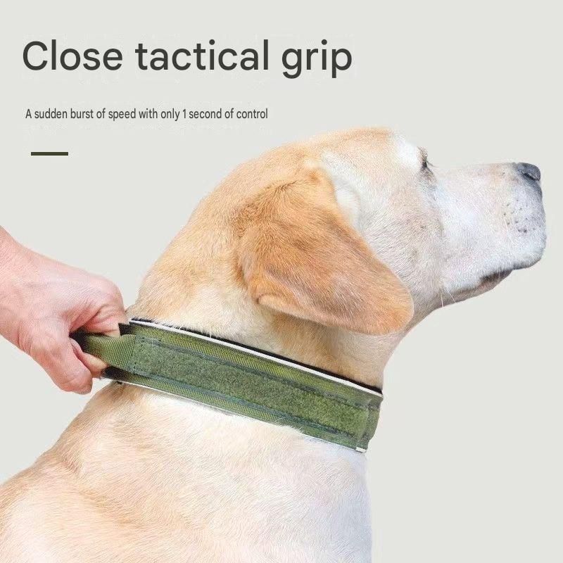 Blue Tactical Dog Collar for Large Dogs (M size)- Wide Padded Nylon Collar with Quick Release Metal Buckle, Control Handle and D-Ring for Walking and โ image 6