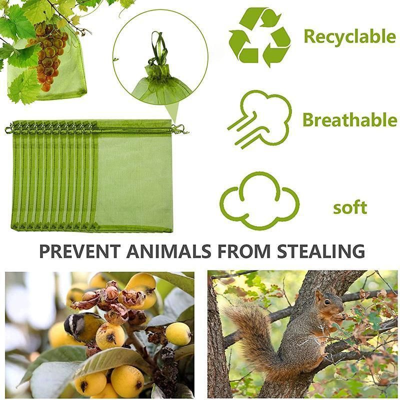 50/100PCS Garden Fruit Protection Net Bags Insect Proof Drawstring Mesh Organza - 50Pcs 17 × 23cm — image 6