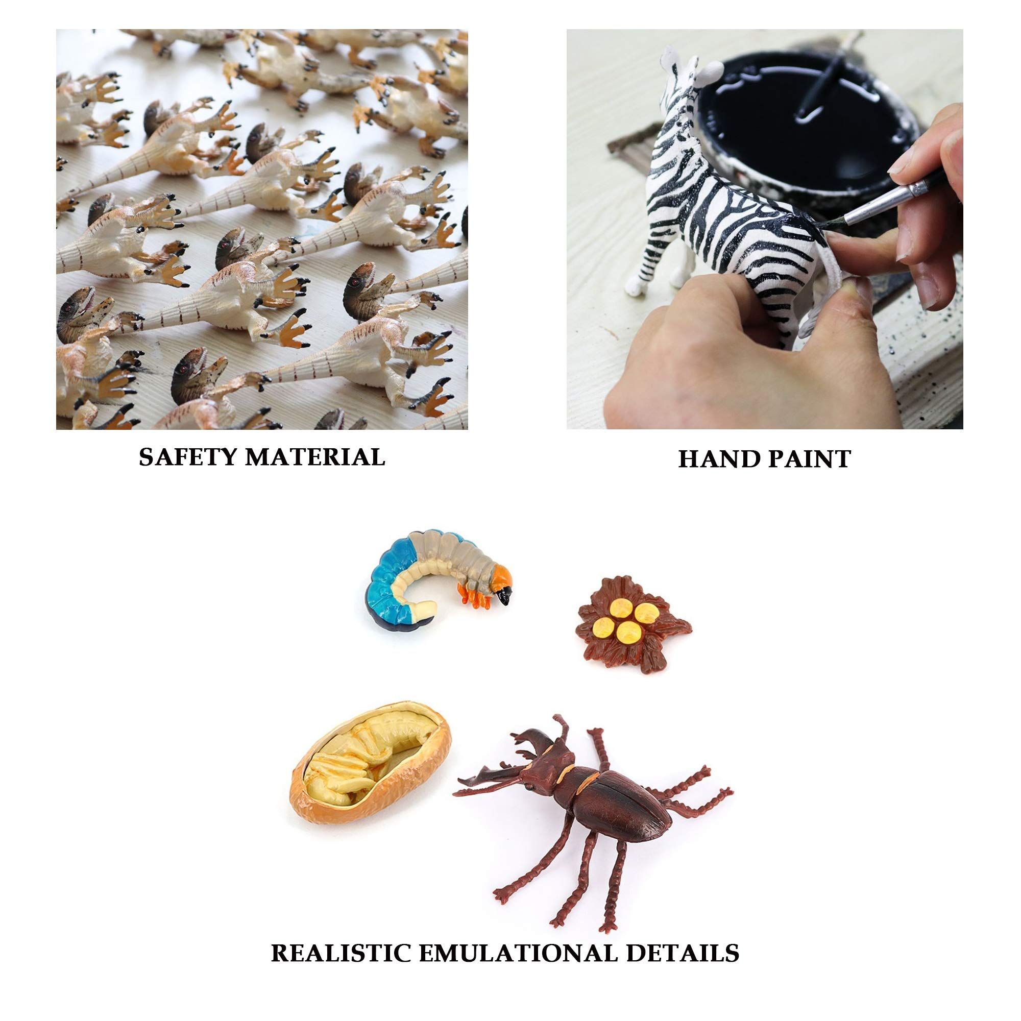 4PCS Stag Beetle Animal Life Cycle,Insect Growth Cycle Model,Hand Painting Animal Figures,Educational Toy — image 2