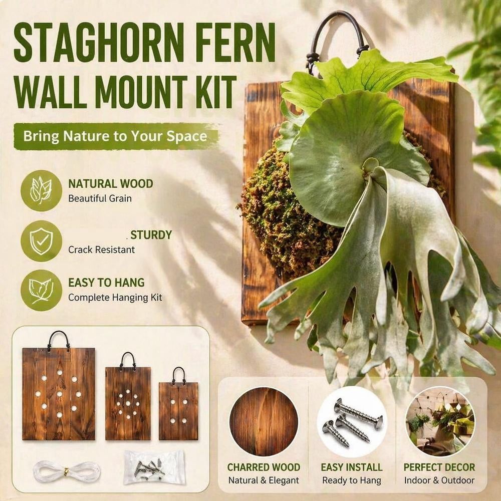 Fern Mount, Wood Rectangular Wall Mounting Plate for Indoor Outdoor, Vertical Hanging Planter Board for Orchids Plants, Fern Mounting Kit for Patio Porch Living Room Hallway