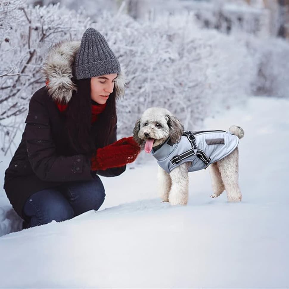 Warm Soft Winter Dog Vest with Stand Collar, Wind and Waterproof, Blue, S M L XL — image 4