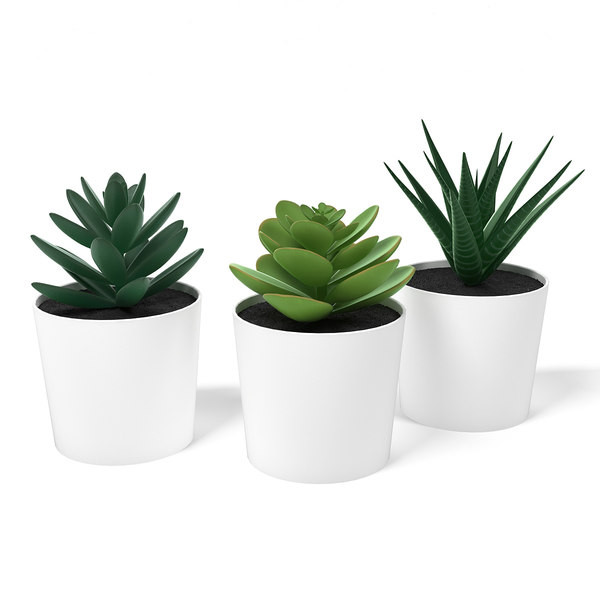 3 Pack of Artificial Succulent Potted Plants in White Plastic 6cm Pot Interior Decoration โ image 5