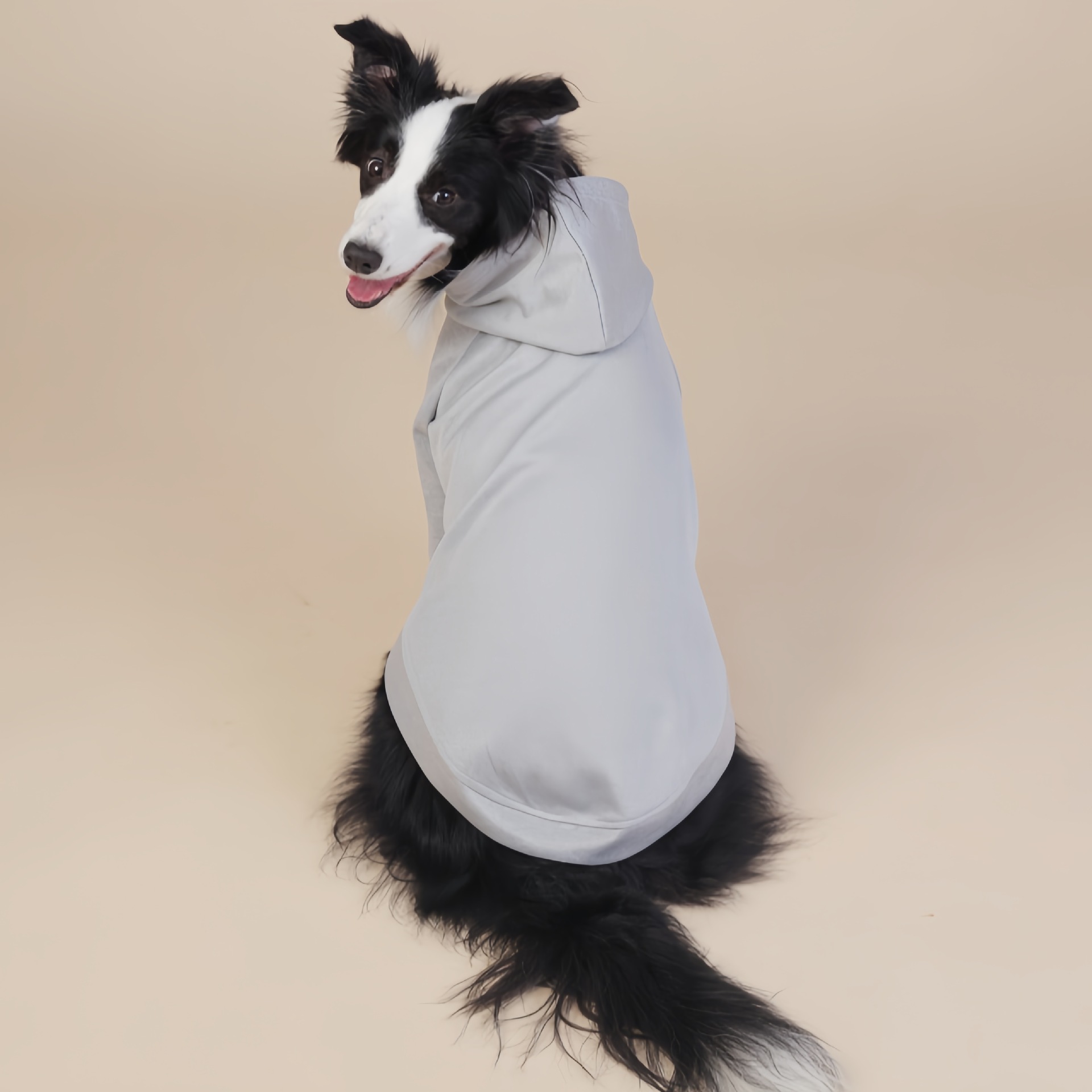 Grey Classic Dog Sweatshirt with Hood & Drawstrings - For Large Dogs (Size: XL) — image 3