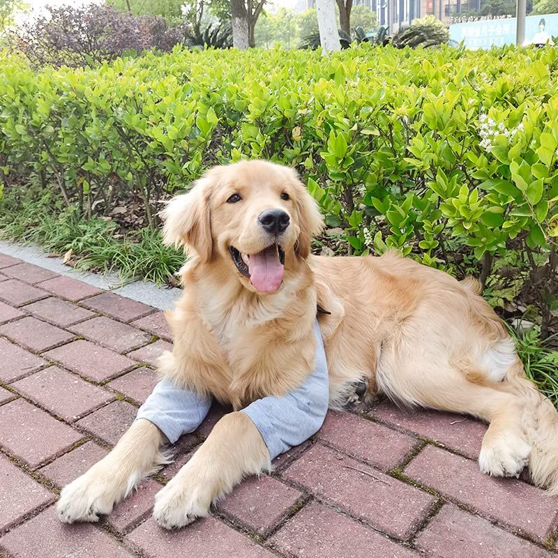 Dog Recovery Suit Front Legs, Dog Recovery Sleeve After Surgery with Elastic Band, Protective Elbow Protector Grey, L โ image 3