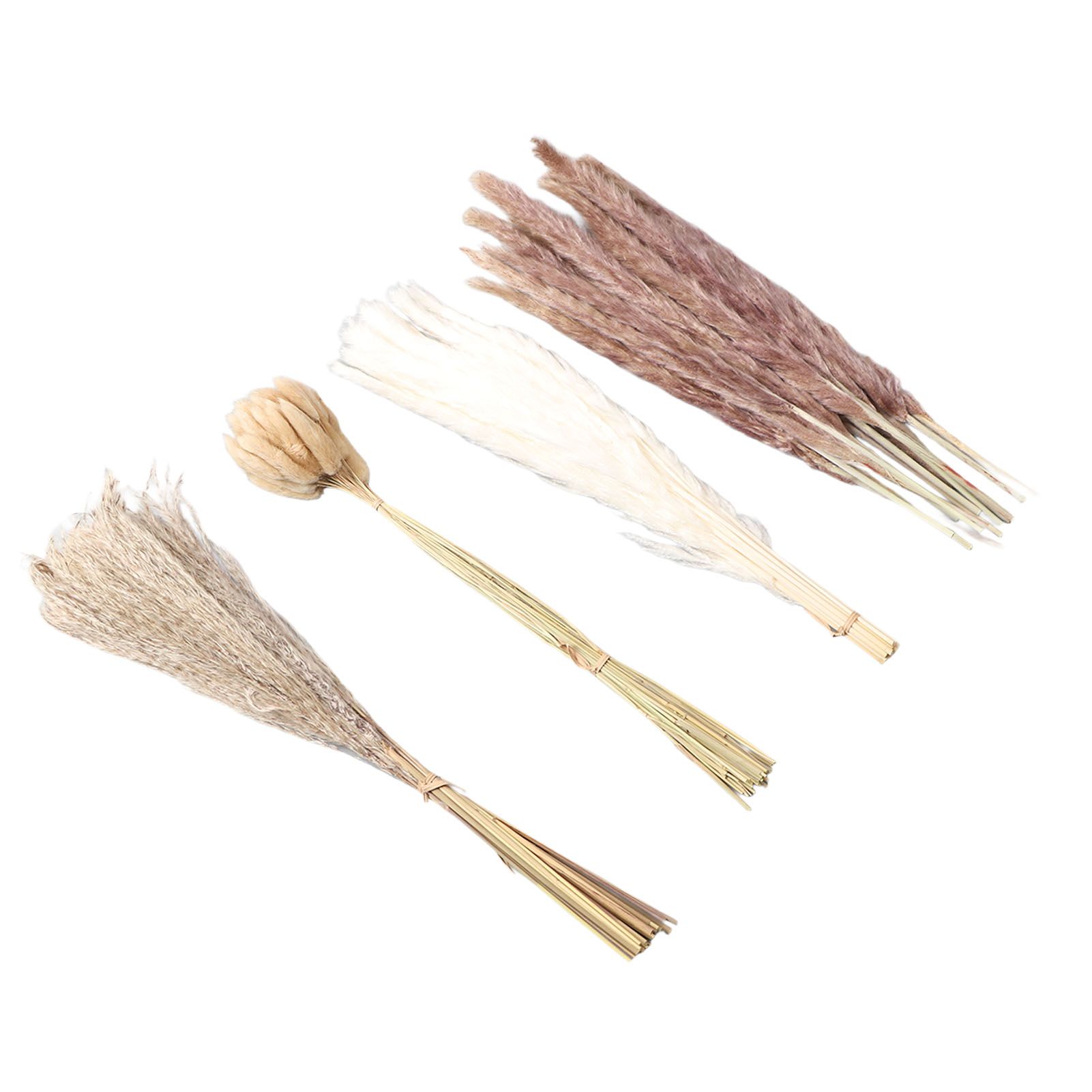 Natural Dried Pampas Grass Fluffy 15PCS White Pampas 15PCS Brown Pampas 50PCS Bunny Tail Grass 20PCS Reed Grass for Home Wedding Decor โ image 4