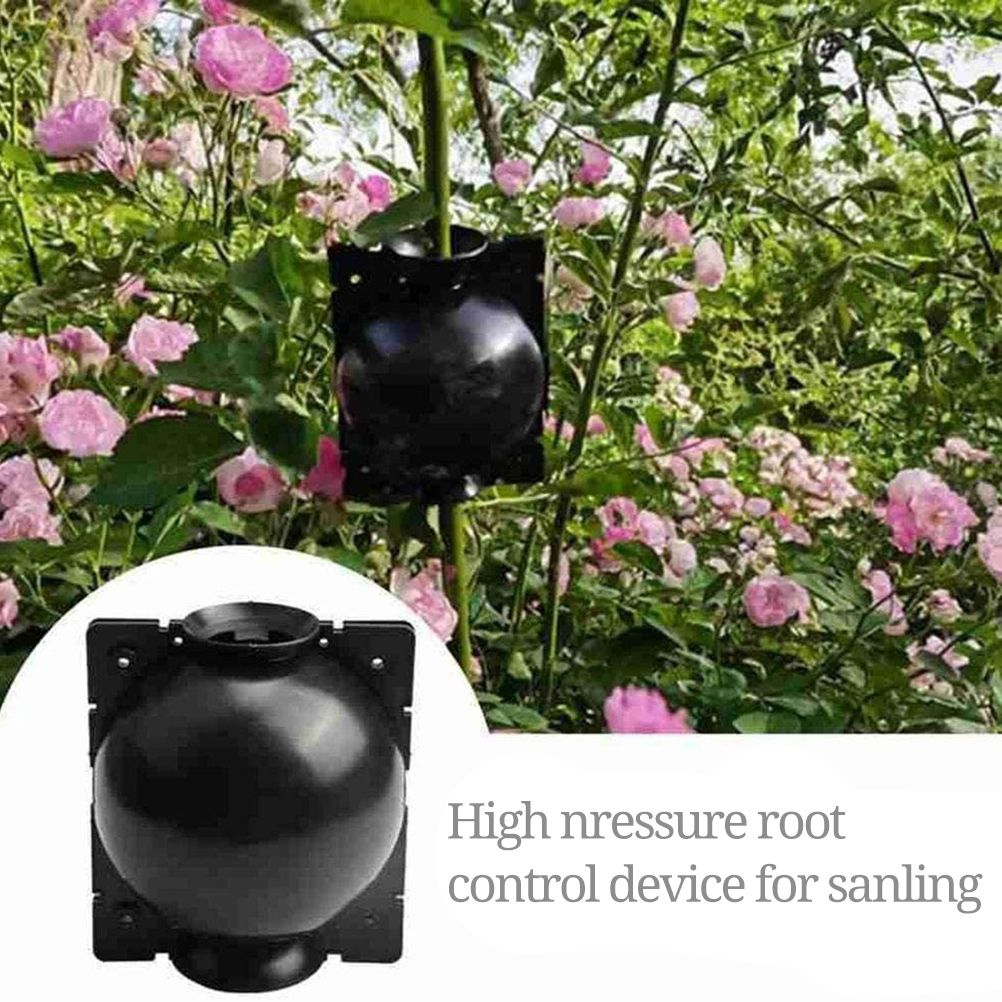 3pcs Plant Rooting Sphere Graft Rooting Growing Box Breeding Crate for Garden Plants — image 2