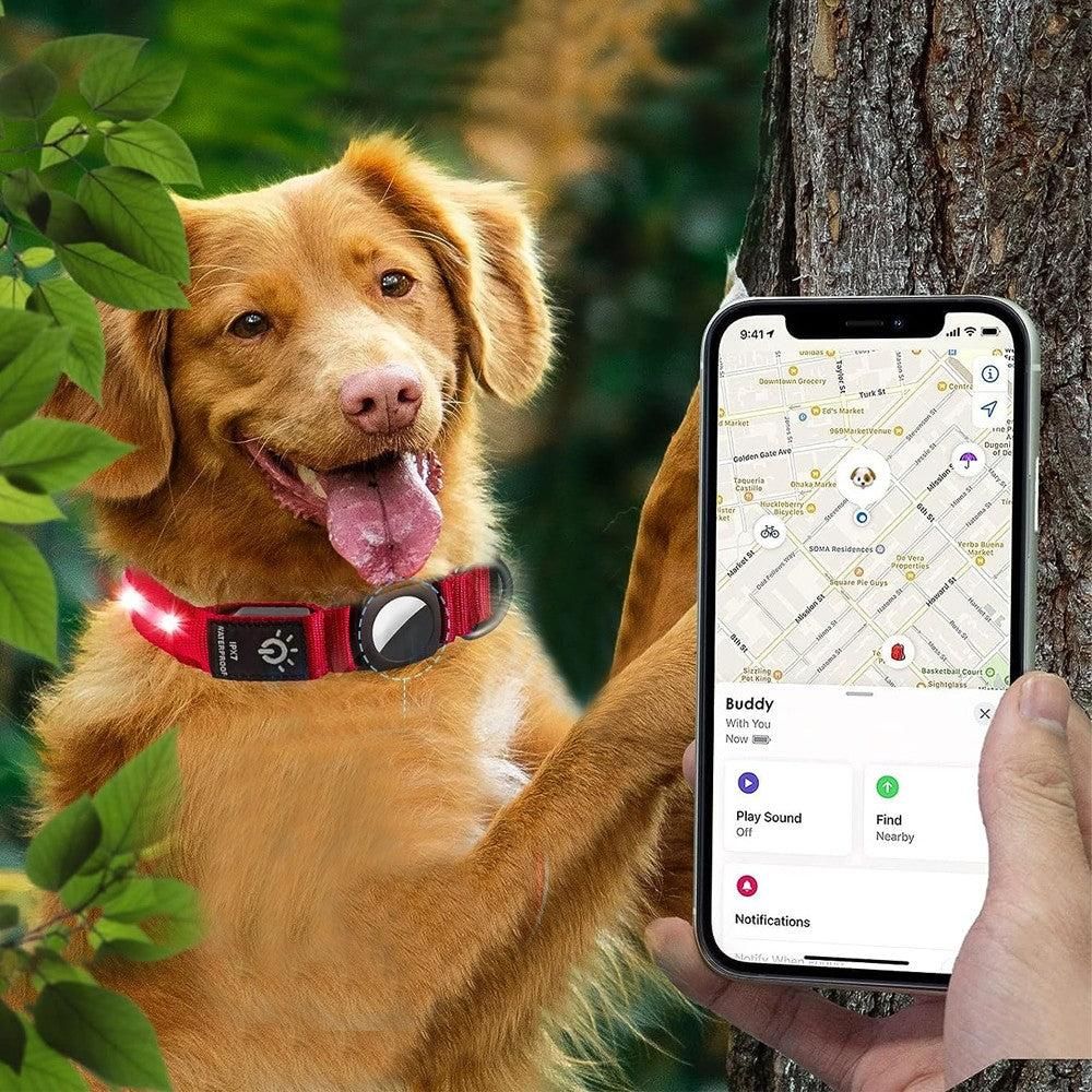 Luminous LED Pet Dog Collar Light-up USB Rechargeable Dog Collar Red - S โ image 3