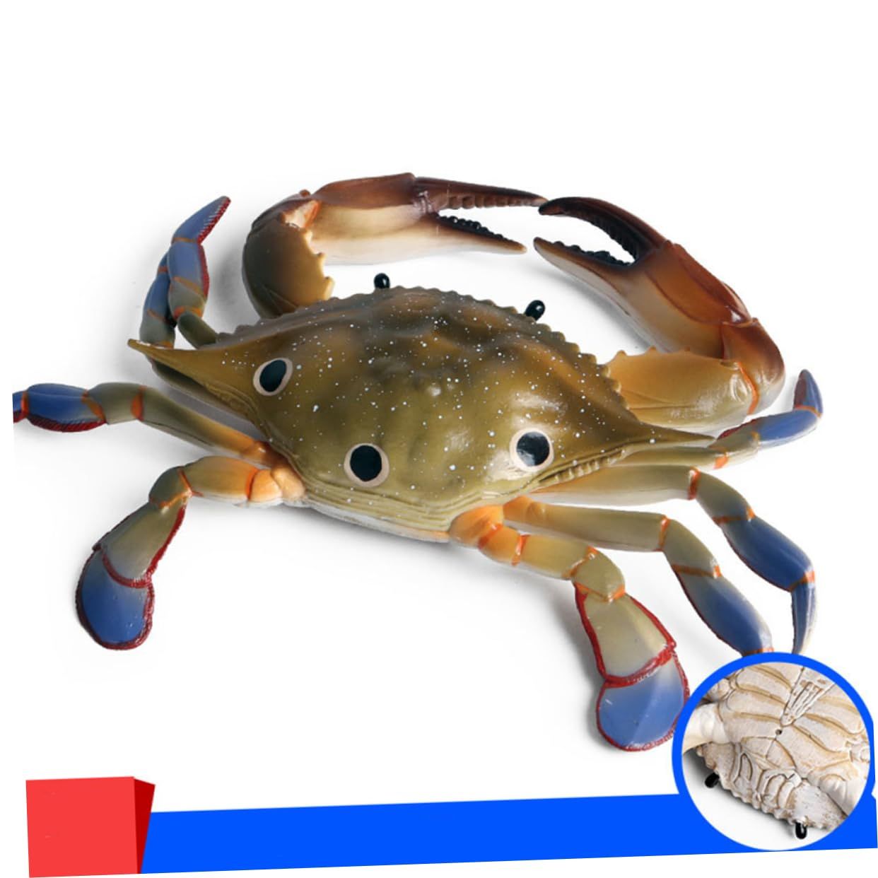 1 Piece Marine Ornament Sea Animal Model Crab Swimming Toy Ornament Models Marine Animal Ornament Ocean Crab Decorations — image 3
