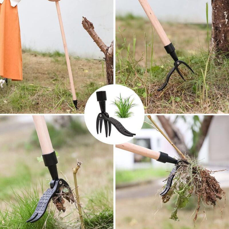 Tools Garden Manual Weeder Knife, Gardening Weed Puller Claw Tool, Hand Weeder Tool With 4 Claws, DAndelion Weed Puller โ image 3