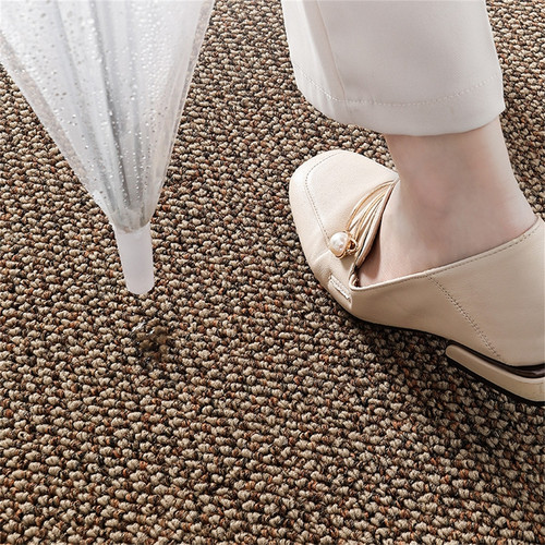 Premium Entrance Door Carpet 120x80cm Sole Cleaning Mats Sand and Dust Removal Washable โ image 3