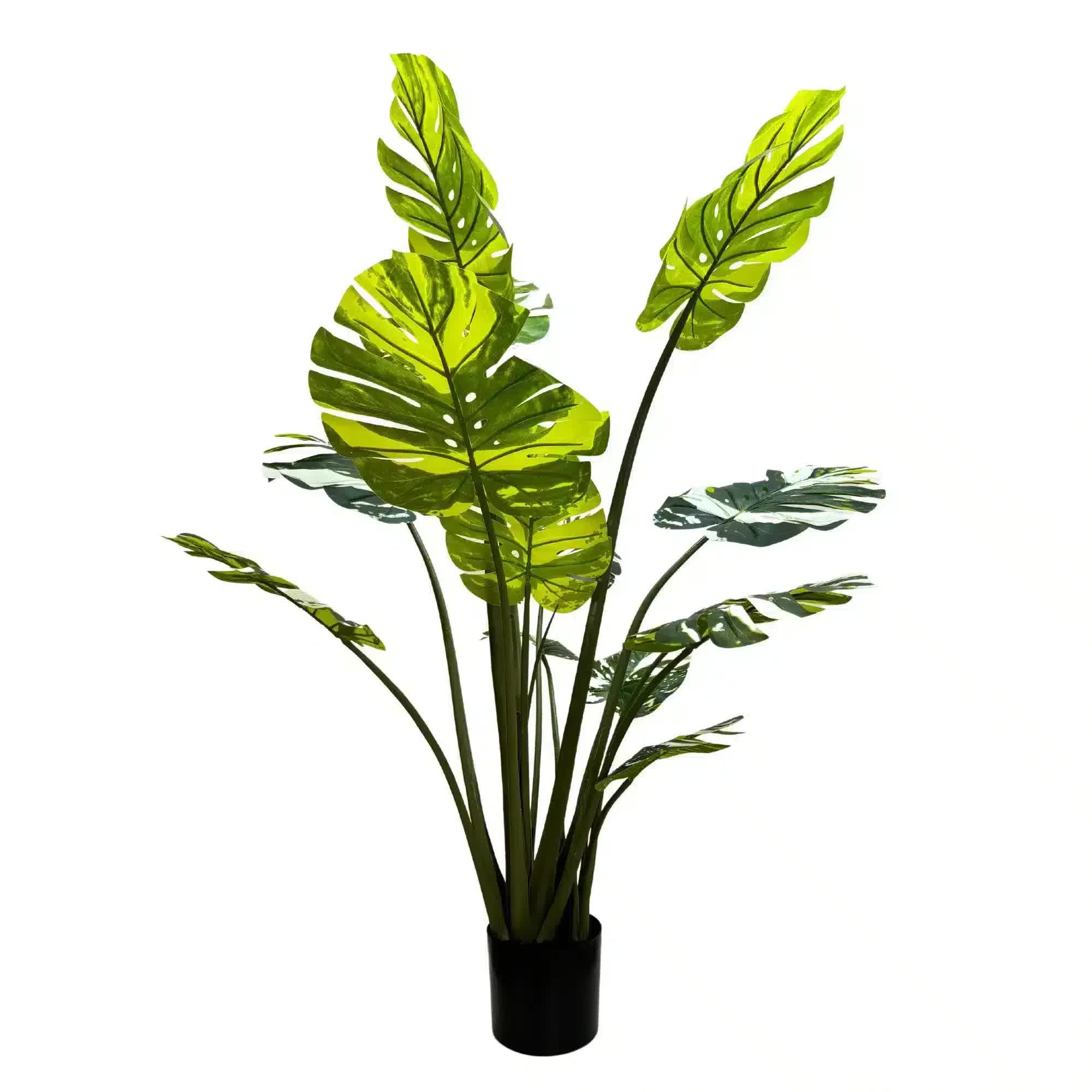 Premium Artificial Potted Monstera Albo 150cm โ image 3