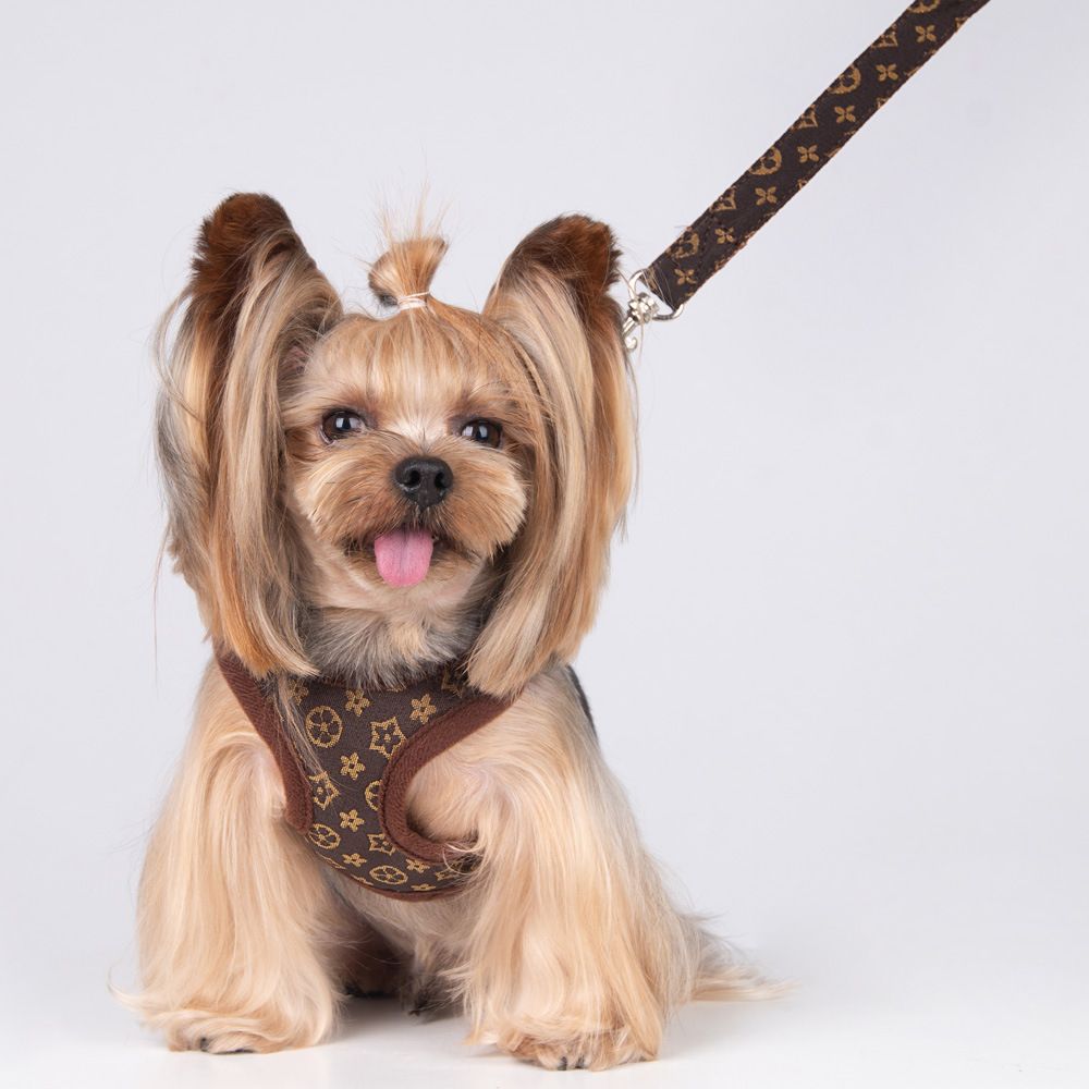 Happy Dog Harness Vest Adjustable Leash Set Polyester Old flower M:0.1kg โ image 5
