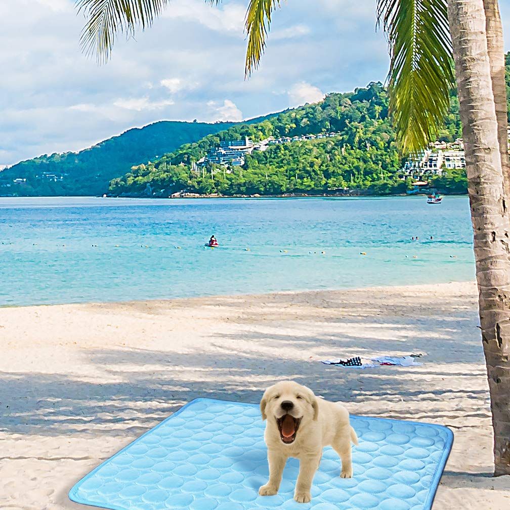 Mat Pad for Dogs Cats Ice Silk Mat Cooling Blanket Cushion for Kennel/Sofa/Bed/Floor/Car Seats Cooling (XL:40 x 28 inches, Blue) โ image 3