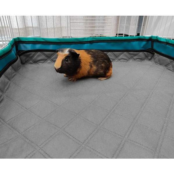 Burmat Guinea pig 60x120 cm 2-pack GINISWEETY โ image 2