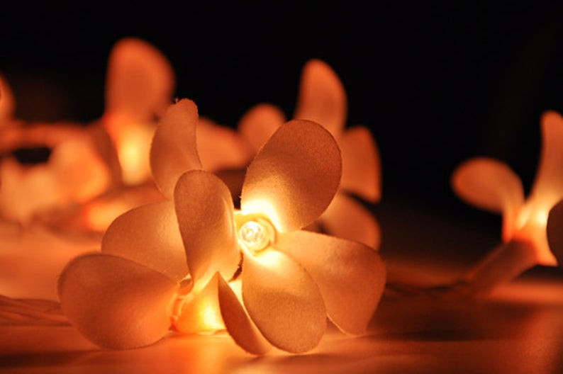 1 Set of 20 LED Orange Frangipani Flower Battery String Lights Christmas Gift Home Wedding Party Decoration Outdoor Table Garland Wreath โ image 4
