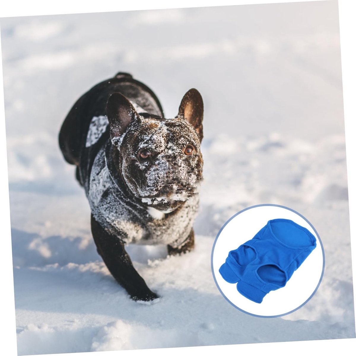 Dog coat - Fleece vest - Dog sweater - Warm winter coat - Pull-on fleece coat - Leash with ring - Perfect for small and medium dogs - Blue - Size M — image 2