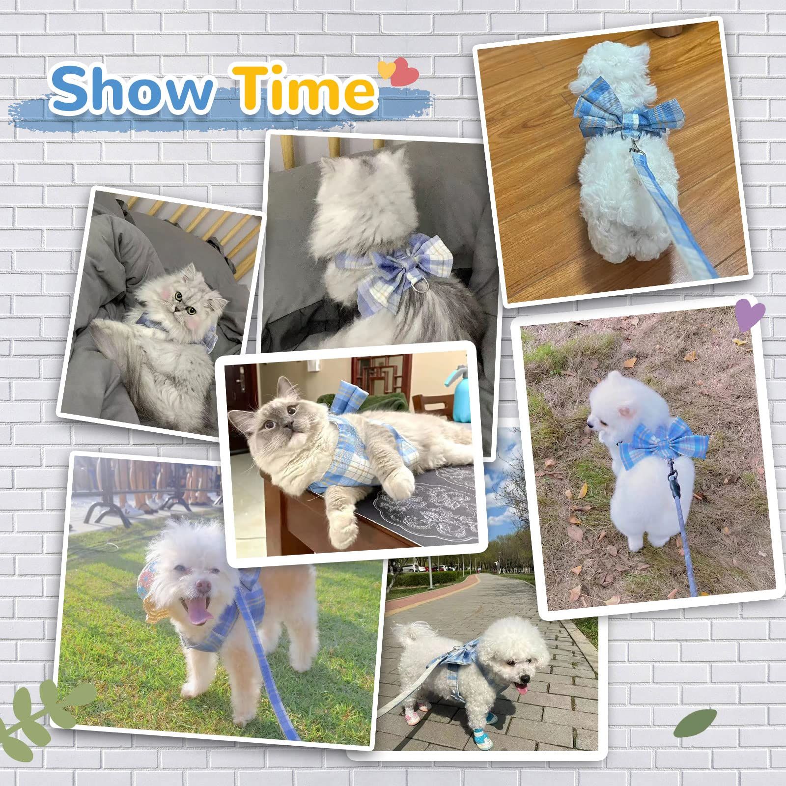 Dog Harness Small Sized Dog Leash cat Harness and Leash Dog Leash for Small Dogs Puppy Harness and Leash Set Training S — image 3