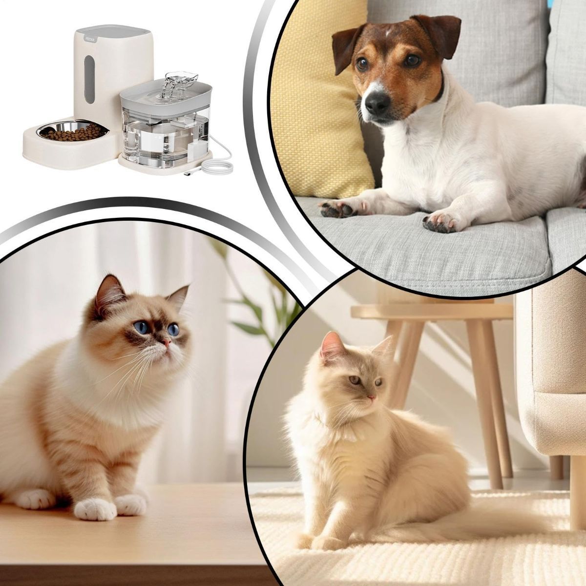 Automatic Cat Feeder and Water 2-in-1 Pet Automatic Fountain Food Bowl Spill-Proof Cat Waterer for Indoor Outdoor Home Vacation Balcony Living Room — image 5