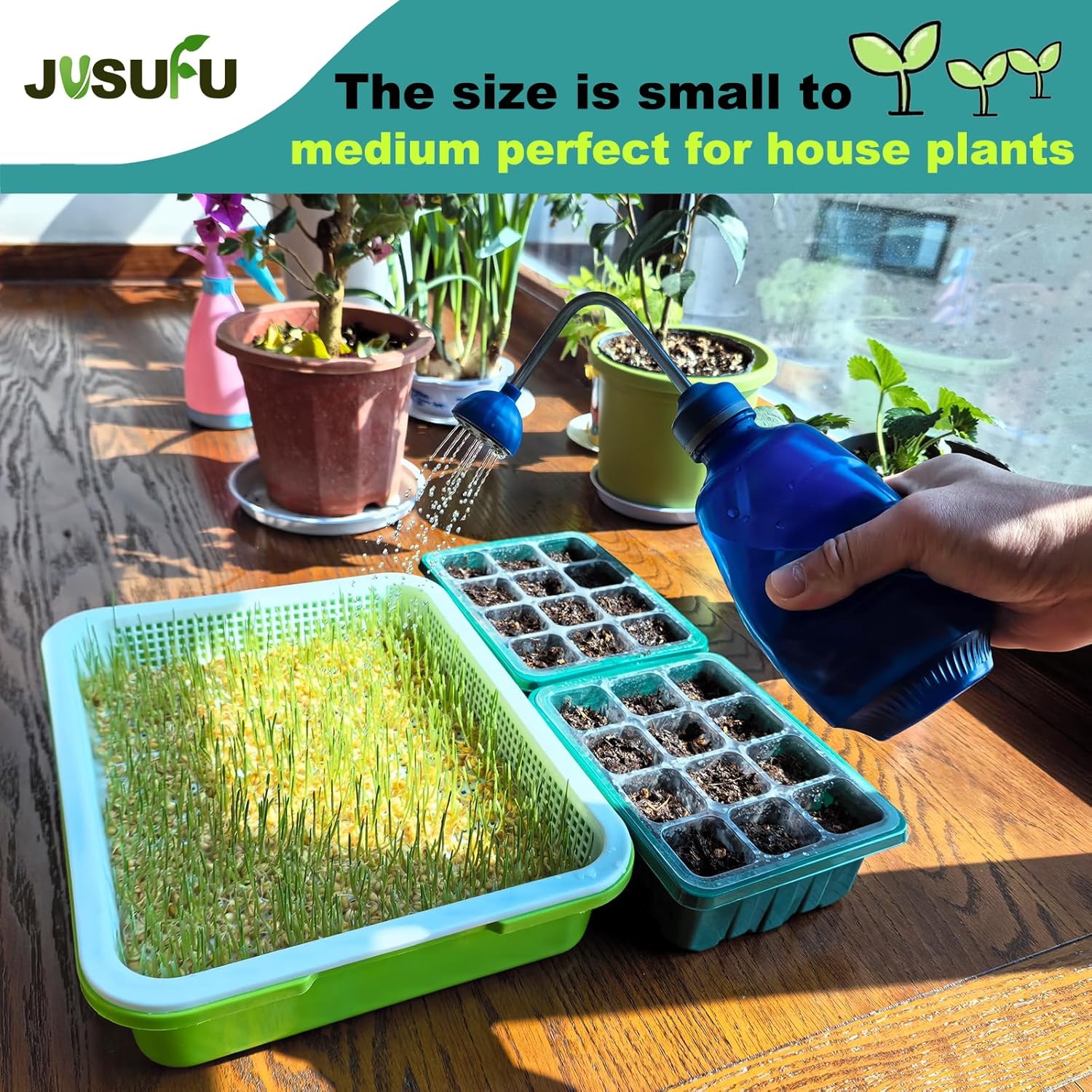 Watering Can for Seedlings, Small Watering Can for House Plant Garden Flower 15oz/0.45l (Blue) — image 2