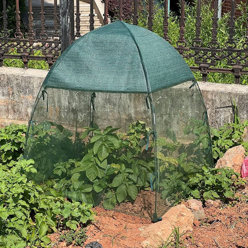 Plant and Vegetable Protective Cover Insect Proof Mesh Garden Netting Cover - 91 × 95cm — image 5