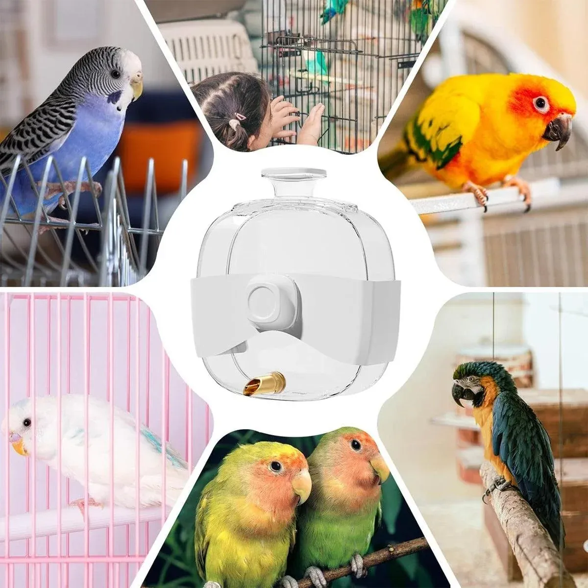 450ml Parrot Water Bottle Bird Drinker Feeder Large Capacity for Birds and Pet — image 5