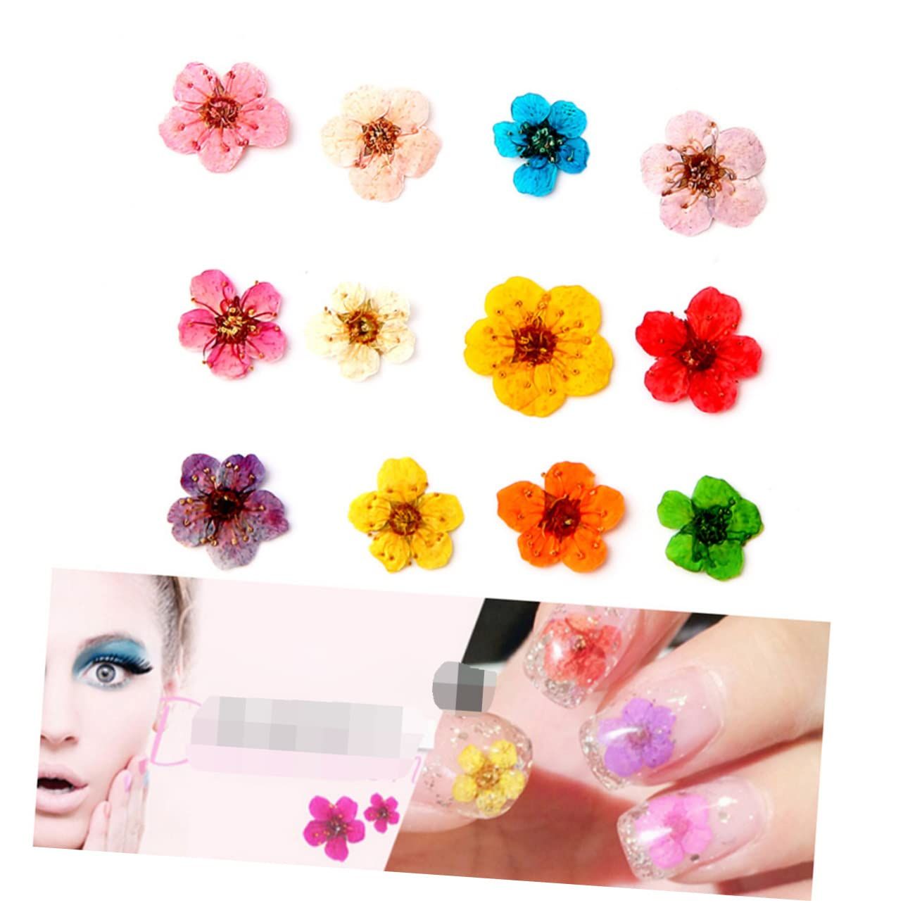 Flower Decorations 1 Box Accessories Art Plum Decals Petals Dried Supplies Manicure Nail Tips of for Sticker — image 3