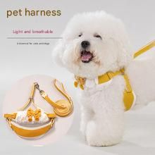 Sky blue Lace Y-Shaped Pet Harness and Leash Set - Breathable Mesh Vest for Small to Medium Dogs and Cats - Comfortable Walking Gear with 150cm Leash(Size:M) — image 3