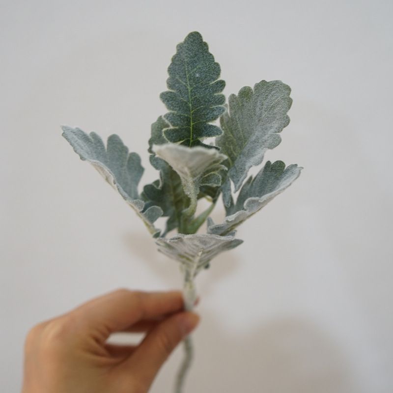 4pcs,Ins Grey Simulation Plant Silver Leaf Chrysanthemum Plush Sheep Horn Leaf Home Decoration Ornament Versatile — image 2