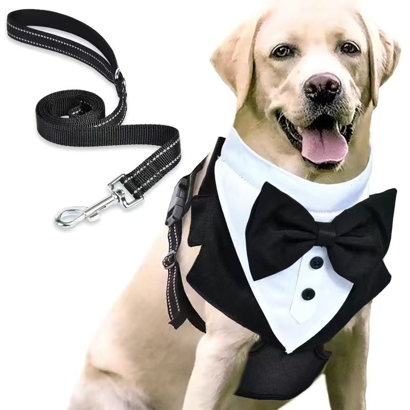 Dog Harness for Small Dogs — image 5