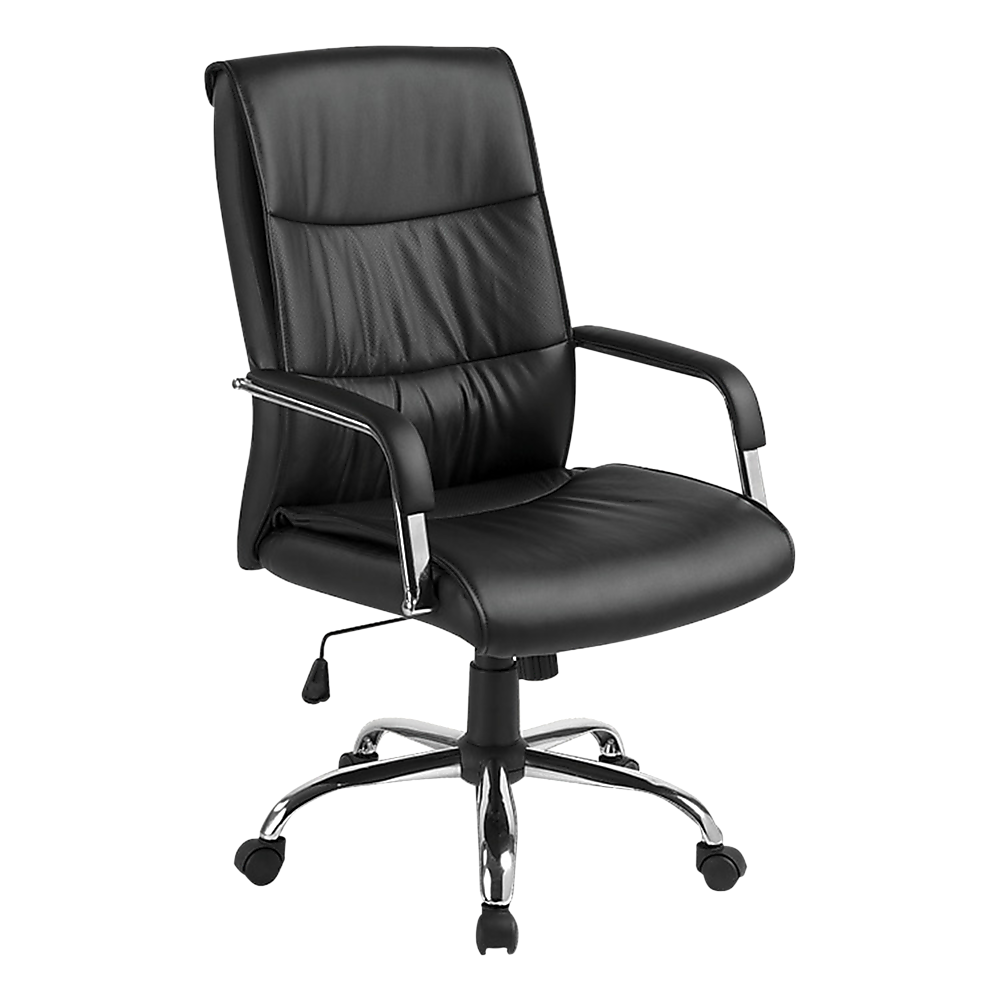 PU Leather Office Chair โ Ergonomic Executive Swivel Desk Chair with Padded Seat in Black