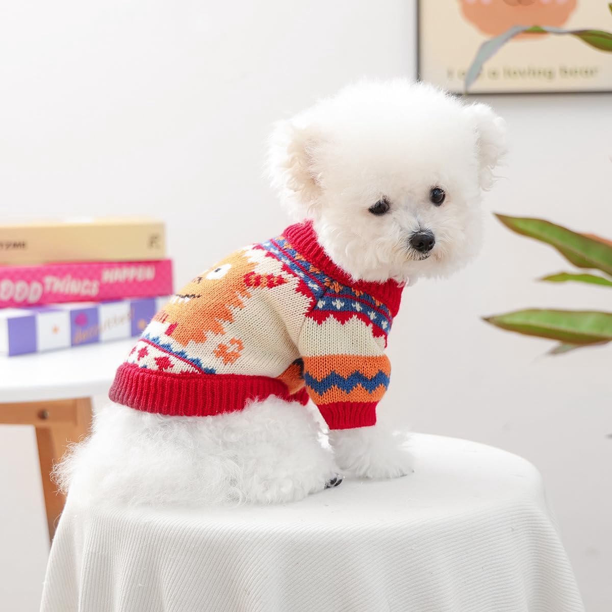 Dog Coat - Dog Sweater - Sweater for Small Dogs - Dog Sweater - Winter Knitted Sweater - Warm and Lightweight Cat Sweater - Perfect for Chihuahuas — image 5