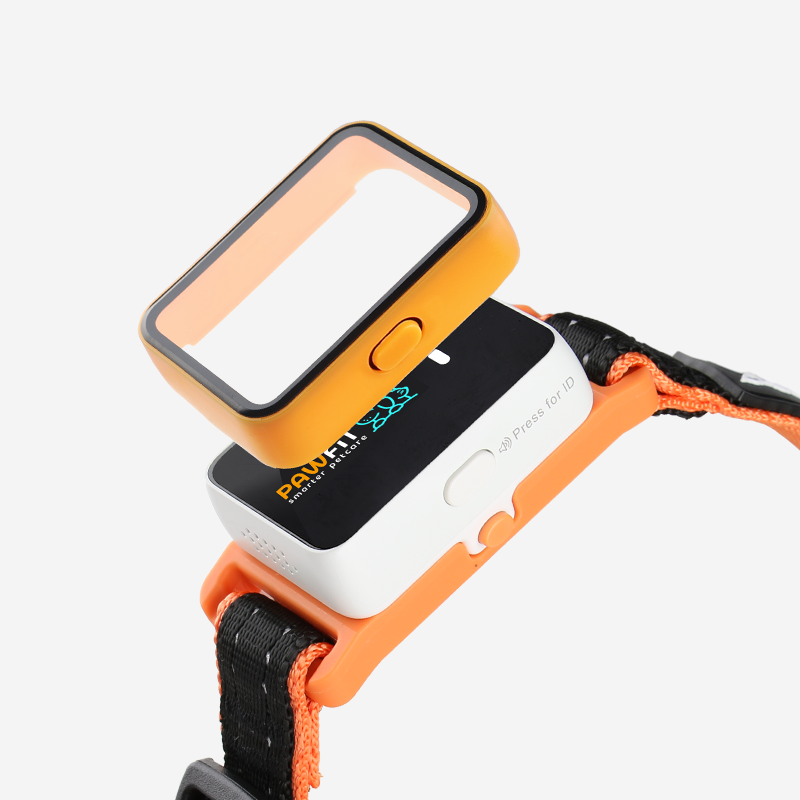 Pawfit 3 Case Blue โ image 2