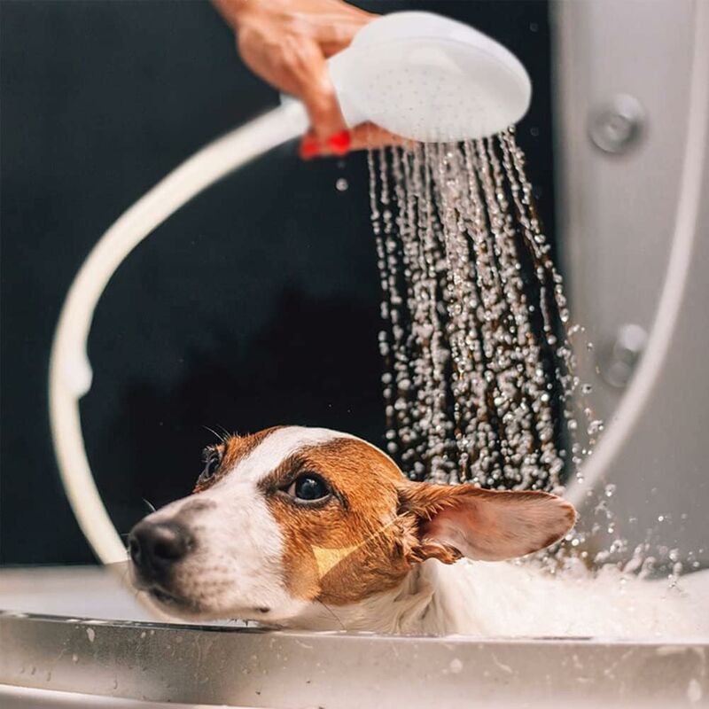 Single Shower Head for Bathroom Sink or Toilet Basin, Shower Hose, Quick Connect Single Shower Mixer, Shampoo for Children and Pets โ image 4