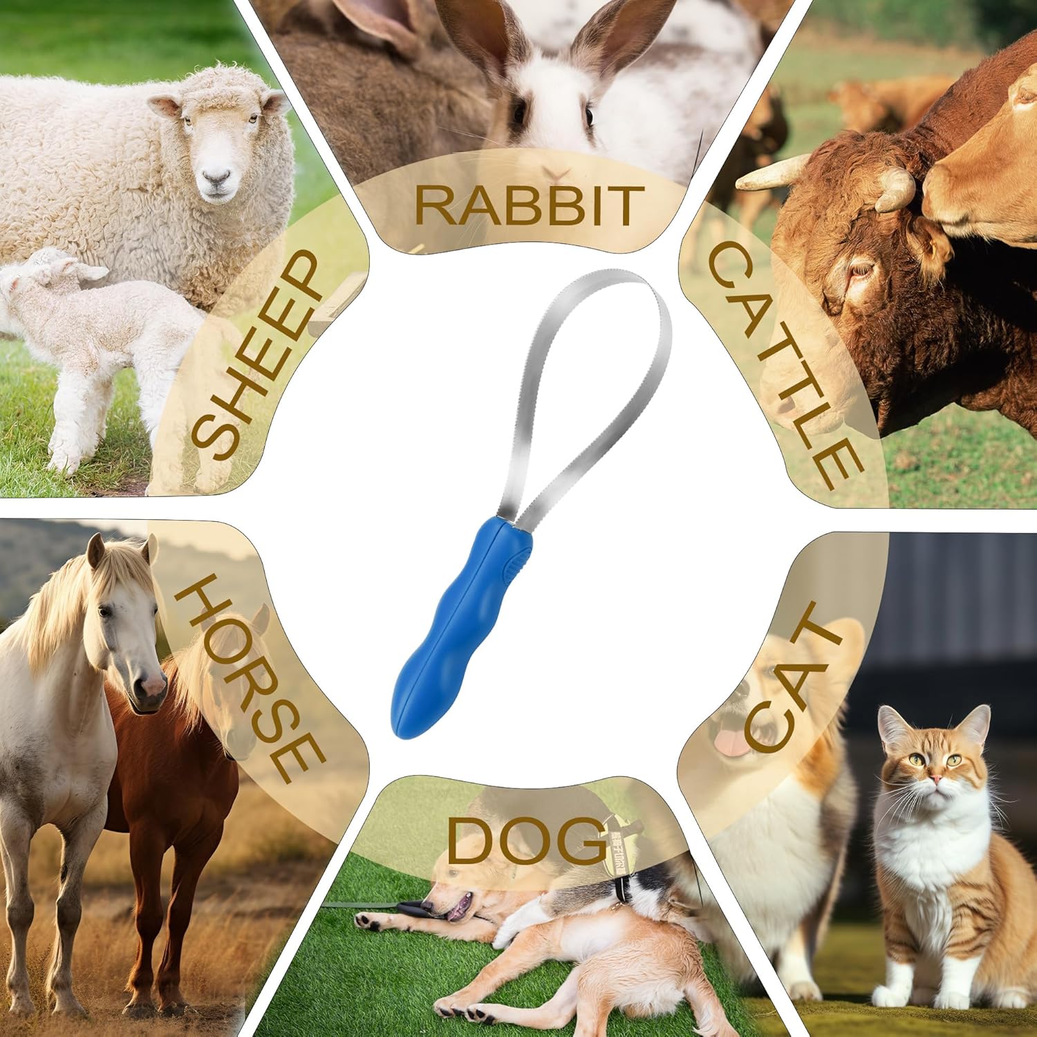 Dual-Sided Shedding Blade Dogs Hair Brush - Stainless Steel Grooming Horse Tool with No-slip Grip - Fine Teeth for Long, Short — image 4